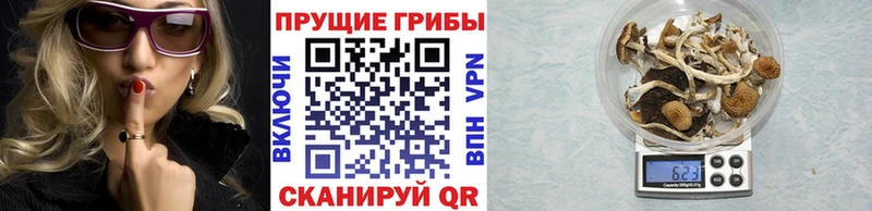 Галлюциногенные грибы прущие грибы  Болхов 